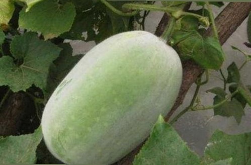 娱乐圈分手背后不为人知的隐秘故事揭秘