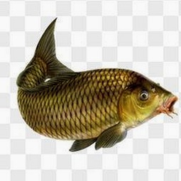 老公一见我就吸奶？揭秘哺乳期夫妻那些爱意十足的小互动