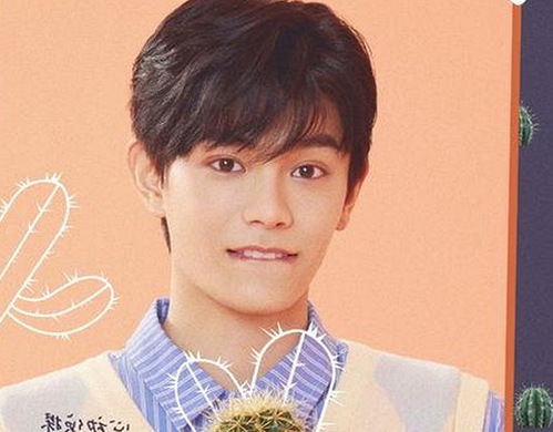 谭松韵引发热议：从努力到争议的背后真相