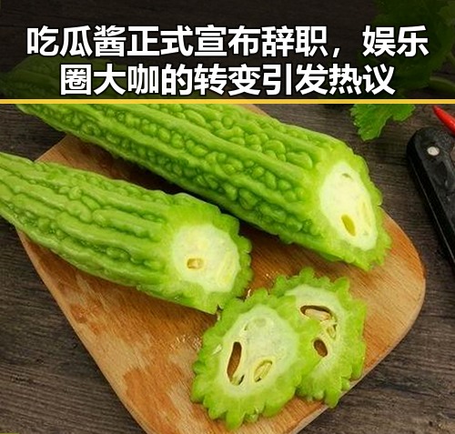 吃瓜酱正式宣布辞职，娱乐圈大咖的转变引发热议
