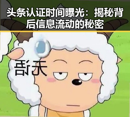 头条认证时间曝光：揭秘背后信息流动的秘密