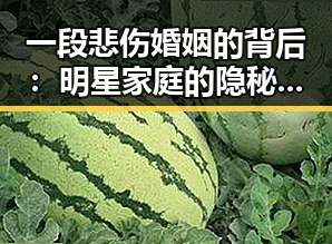 一段悲伤婚姻的背后:明星家庭的隐秘危机