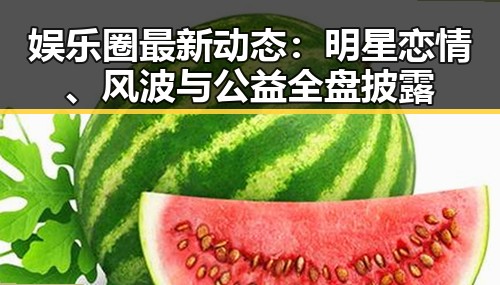 娱乐圈最新动态：明星恋情、风波与公益全盘披露