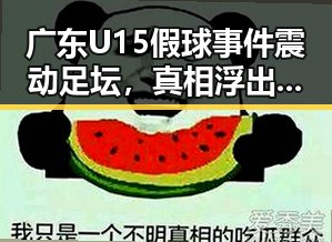 广东U15假球事件震动足坛，真相浮出水面引发热议